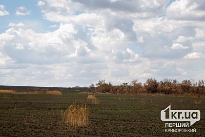 Власників не розмінованих земель на території Зеленодольської громади закликали звернутися до виконкому