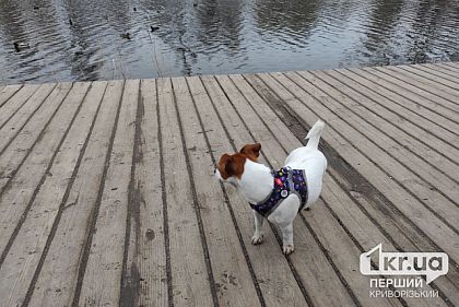 Как прошла ночь в Днепропетровской області