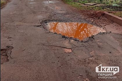 Криворожанка зарегистрировала петицию с требованием отремонтировать дорогу