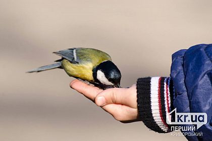 Погода в Кривом Роге 23 марта