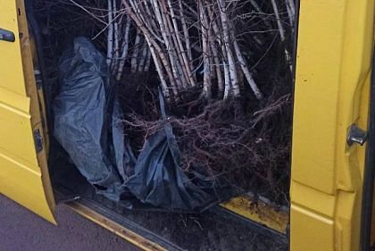 Патрульные обнаружили подозреваемых в краже саженцев