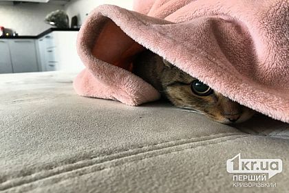 Когда в Кривом Роге выключат отопление