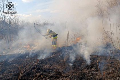 Чрезвычайники призывают криворожан не сжигать сухую траву