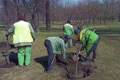 В Кривом Роге высадили деревья