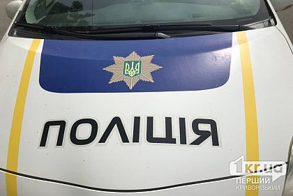 В Кривом Роге автомобиль въехал в дом
