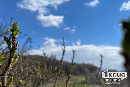 Погода в Кривом Роге 28 марта