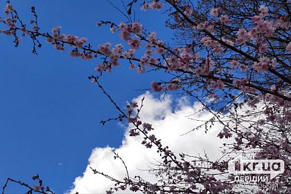 Погода в Кривом Роге 31 марта