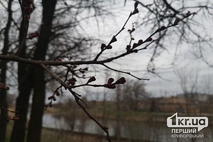 Ночь в Днепропетровщине прошла без вражеских обстрелов