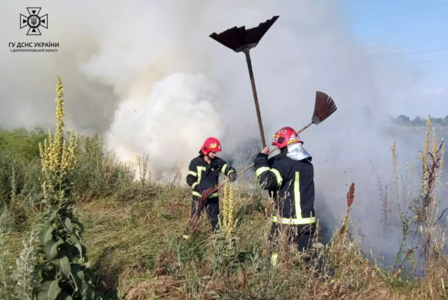 Спасатели потушили пожар в экосистеме Криворожского района