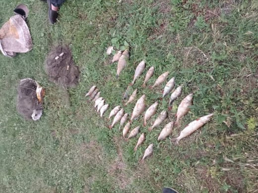 Мешканець Криворізького району наловив риби сіткою на 77 тисяч гривень