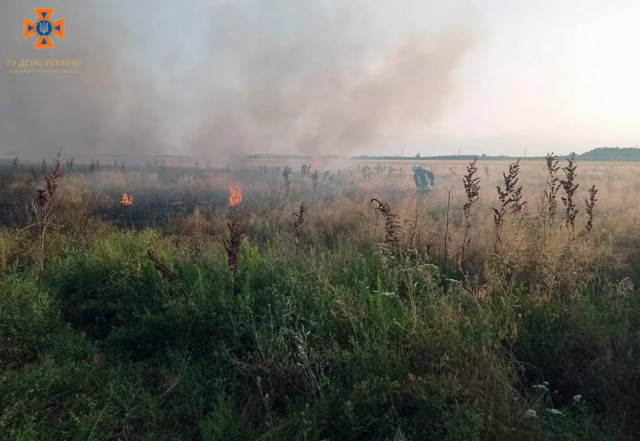 С начала года в Днепропетровской области пожары уничтожили более 800 гектаров экосистем