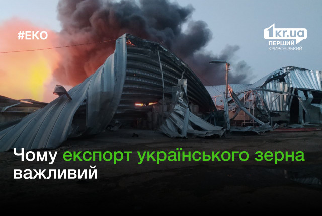 Знищення зернових терміналів та обстріли агропідприємств: РФ знову намагається вибити Україну з ринку