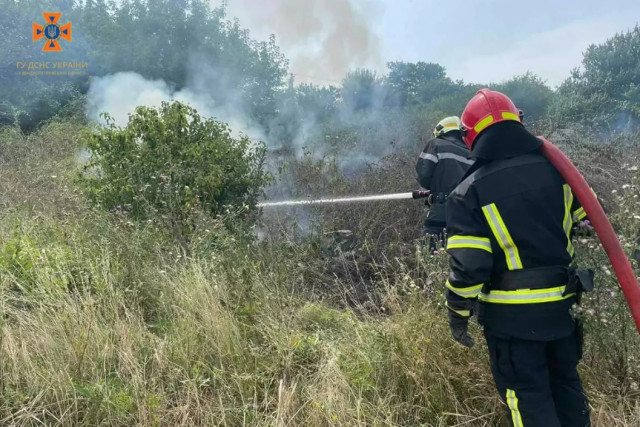Пожарные Днепропетровщины потушили 61 пожар в экосистемах