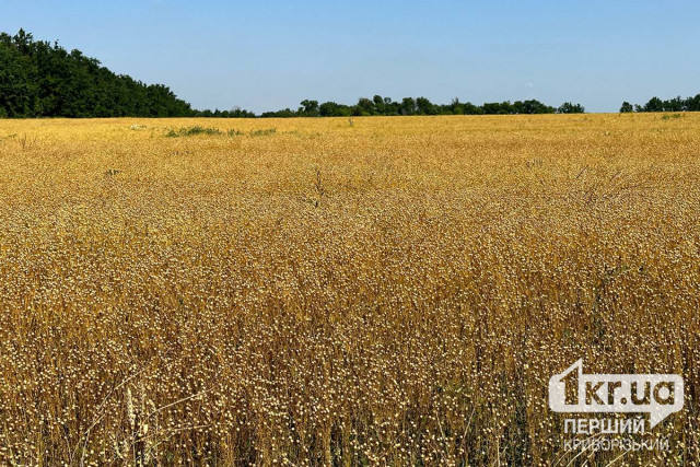 Україні для захисту портів потрібні потужні системи ППО та ПРО — Гуменюк