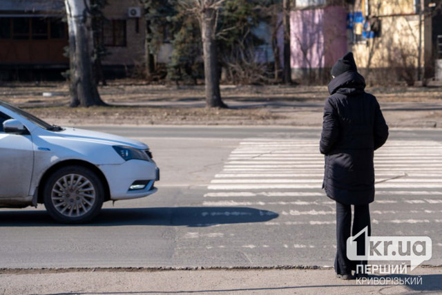 В Украине ужесточили требования к автошколам и разрешили самостоятельно учить «теорию» на права