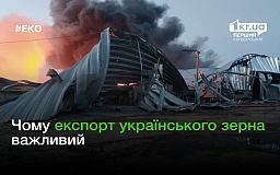 Уничтожение зерновых терминалов и обстрелы агропредприятий: РФ снова пытается выбить Украину с рынка