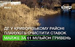 Почти 61 миллион гривен готовы заплатить за очистку пруда в Криворожском районе