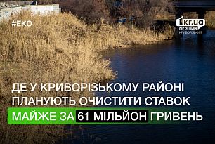 Майже 61 мільйон гривень готові заплатити за очищення ставка у Криворізькому районі