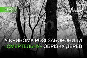 У Кривому Розі депутати проголосували проти обрізки дерев «до стовпа»