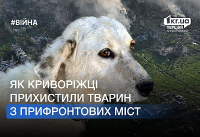 Головне фото новини
