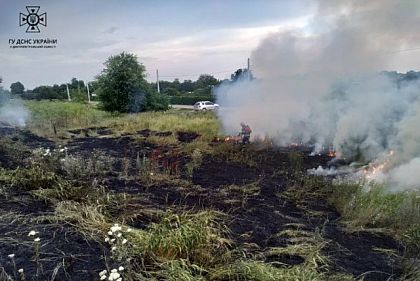 В Кривом Роге пожарные ликвидировали возгорание сухостоя