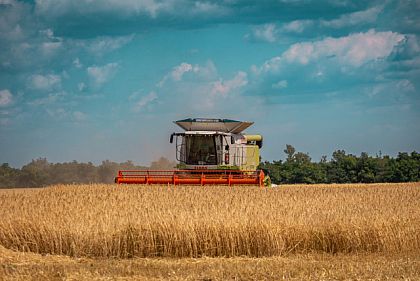 На Днепропетровщине собрали первый урожай ячменя и гороха