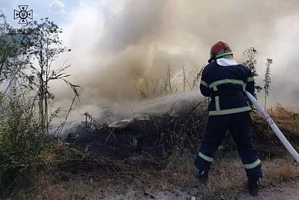 За сутки спасатели Днепропетровщины ликвидировали 42 пожара в экосистемах