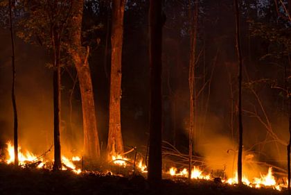 Криворожан предупреждают о пожарной опасности