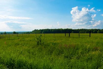На Днепропетровщине прокуратура вернула государству земли стоимостью более 22 миллионов гривен
