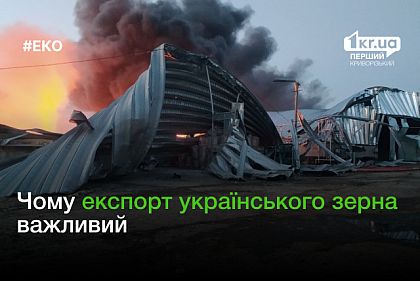 Знищення зернових терміналів та обстріли агропідприємств: РФ знову намагається вибити Україну з ринку