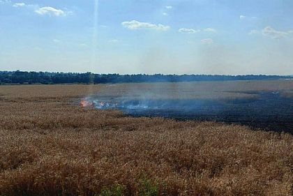 На пшеничных полях Днепропетровщины произошел пожар из-за вражеских обстрелов