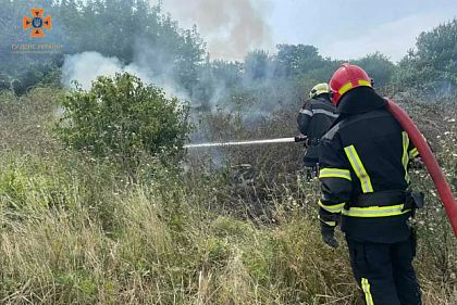 Пожарные Днепропетровщины потушили 61 пожар в экосистемах