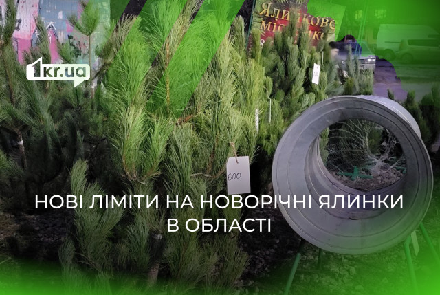 Ліміт на новорічні ялинки: яка дозволена кількість хвойних на Дніпропетровщині у цьому році