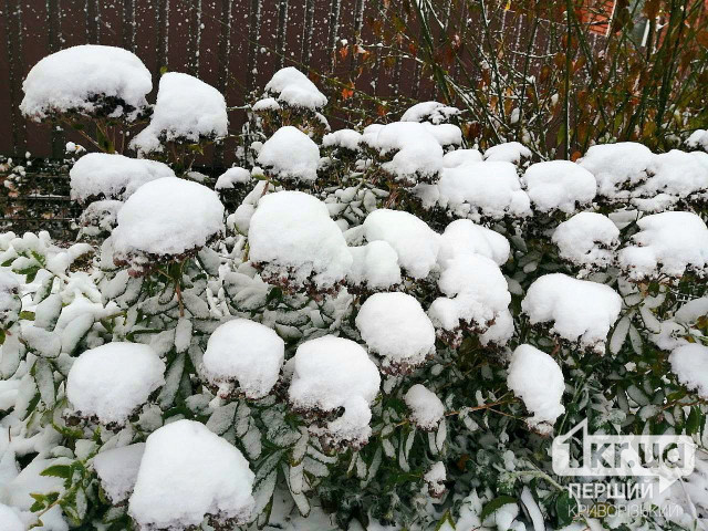 Солнце и снег: погода в Кривом Роге 7 декабря