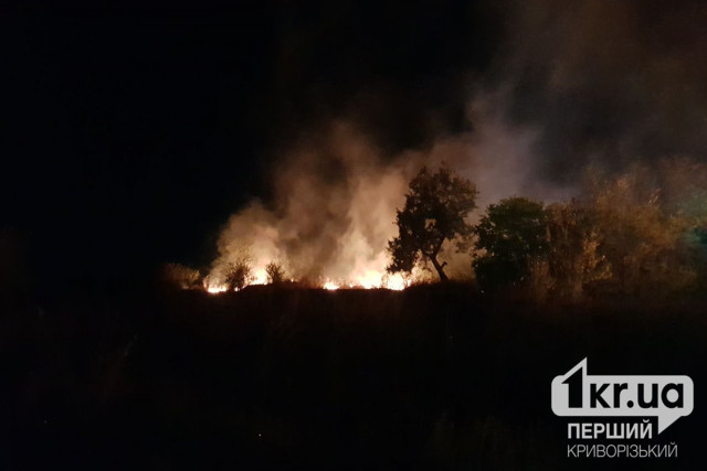 С начала 2023 года в пожарах на Днепропетровщине погиб 21 ребенок — ГСЧС