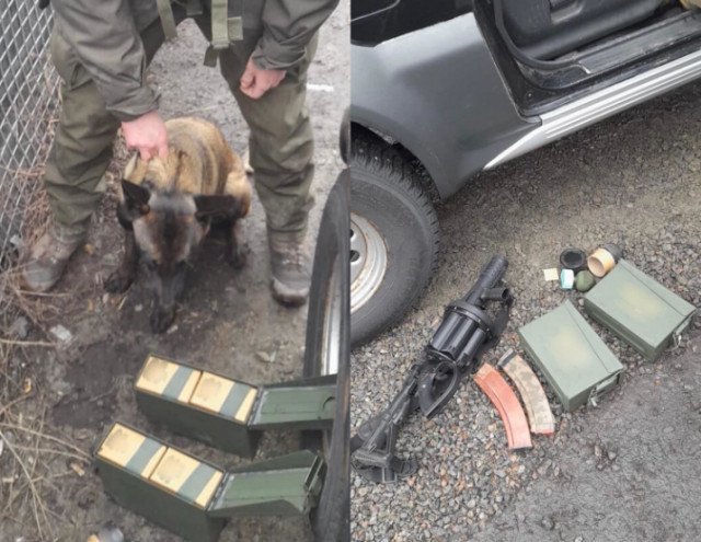 На блокпосту Днепропетровщины служебная собака обнаружила в автомобилях оружие