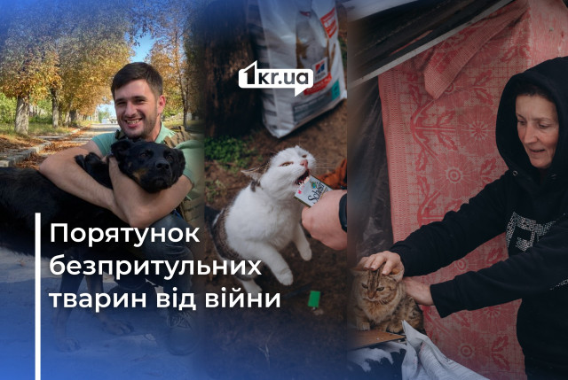 Как волонтеры Днепропетровщины и Николаевщины спасают животных от войны