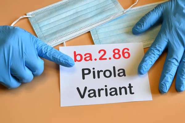 У грудні троє українців захворіли на штам коронавірусу Pirola