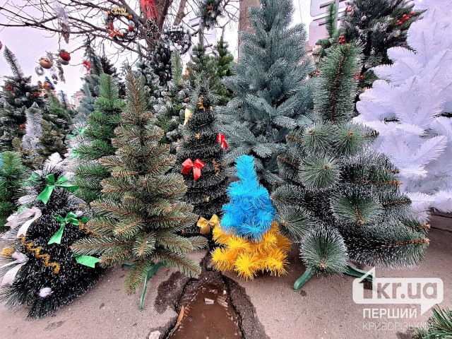 Погода в Кривом Роге 29 декабря