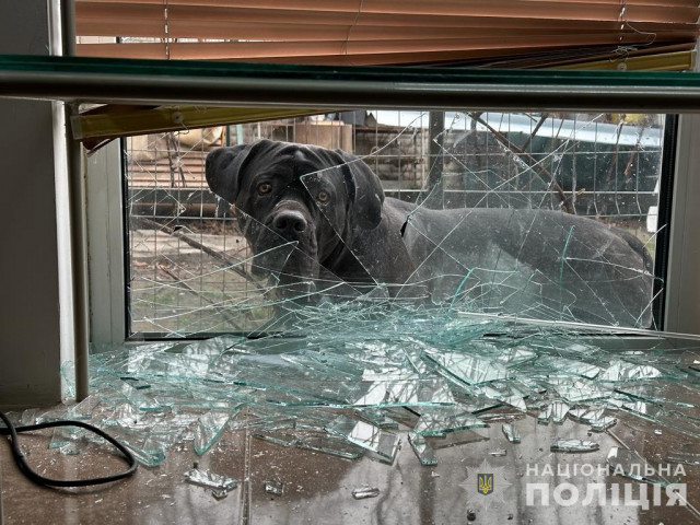 В Новомосковске правоохранители работают на месте вражеского удара