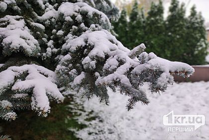 Мокрый снег и гололедица: криворожан предупреждают об ухудшении погоды