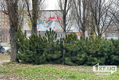 Где криворожане могут проверить елку на радиационную чистоту