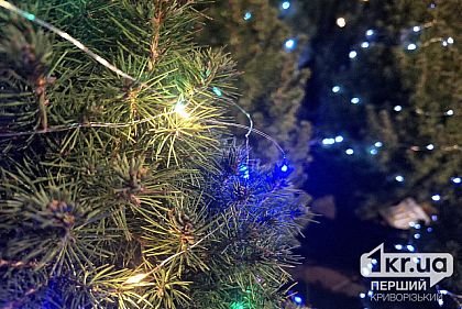Как криворожанам покупать елки легально