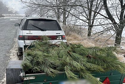На Днепропетровщине задержали водителя, который перевозил незаконно спиленные сосны