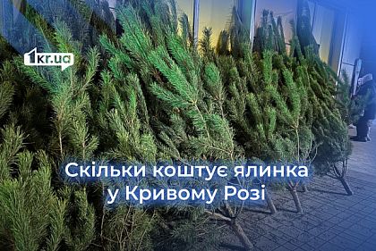 За сколько в Кривом Роге можно купить елку
