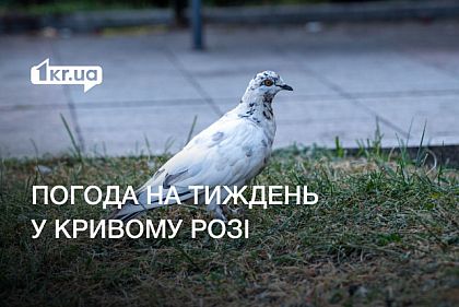 Погода на неделю в Кривом Роге: кратковременные дожди и плюсовая температура