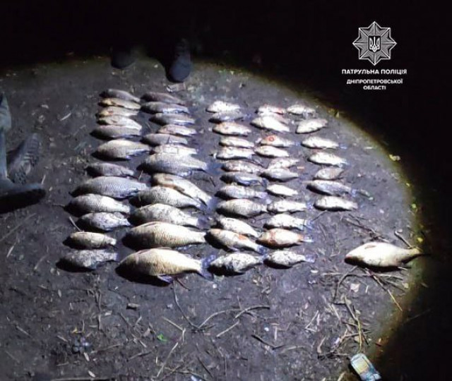 На Днепропетровщине обнаружили нарушителей, ловивших рыбу в нерест сетками