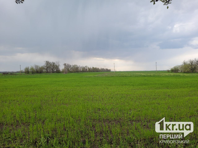 На Дніпропетровщині державі повернули землі вартістю 11,5 мільйонів гривень