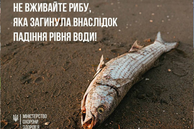 Рибу, що гине через знищення росіянами Каховської ГЕС, не можна споживати