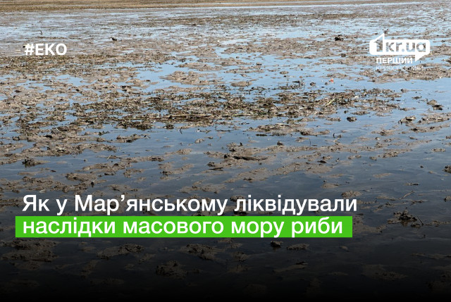 Екологічна катастрофа: про ліквідацію масового мору риби у Мар’янському